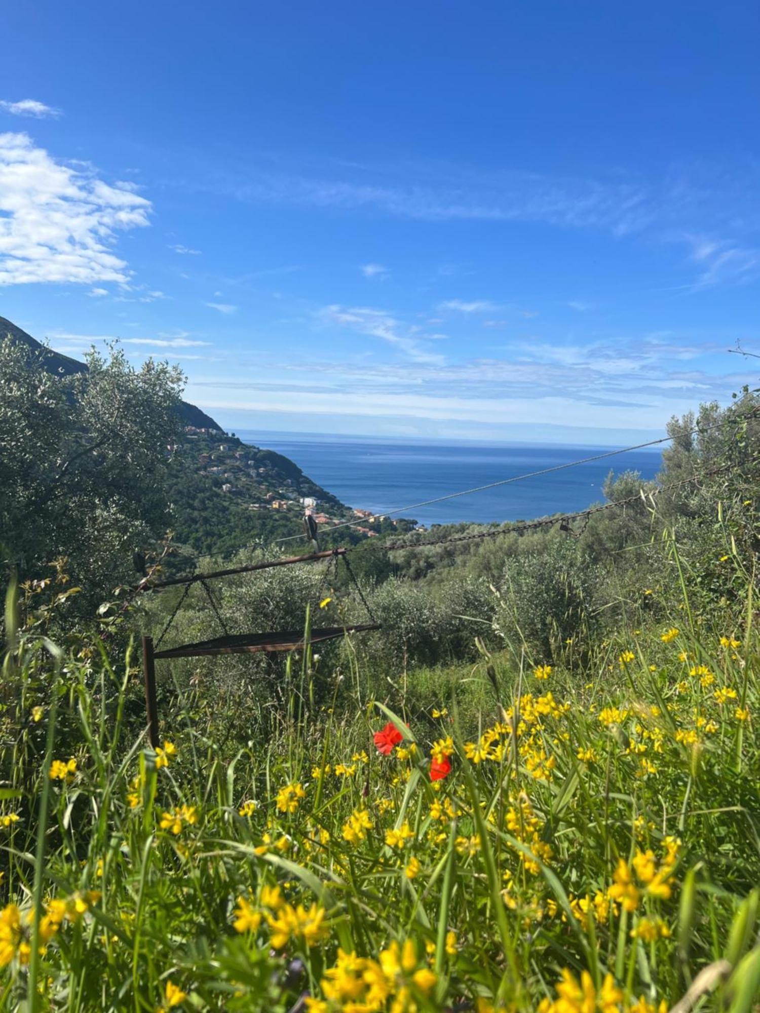 Olivetta House Holiday Moneglia Exterior photo
